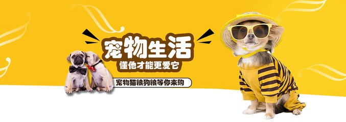 新门内部资料最新更新